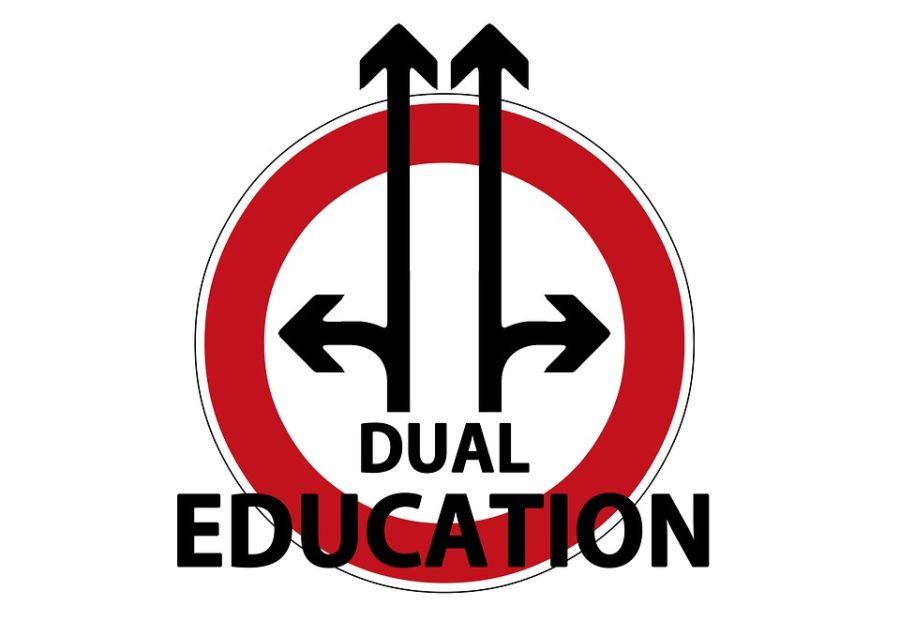 Dualno obrazovanje